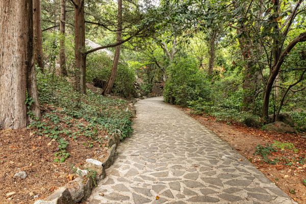 Stone Walkway Repair in Camarillo