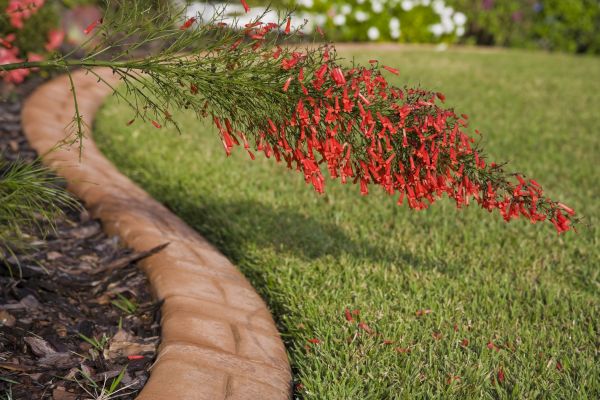 Brick Edging in Camarillo