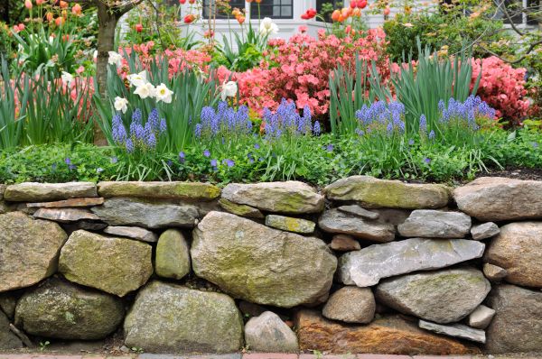 Stone Wall Hardscaping in Camarillo