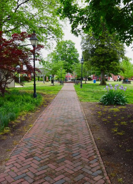 Brick Pathway Repair in Camarillo
