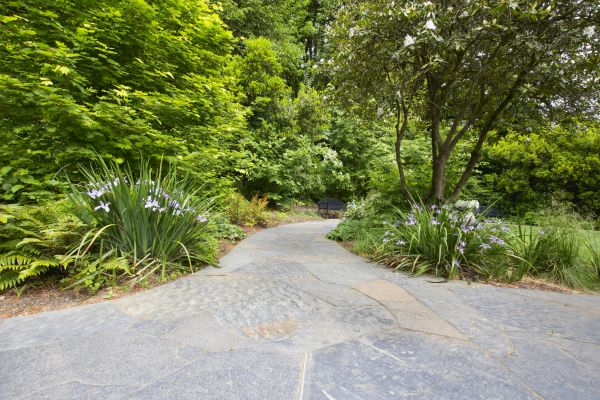 Stone Hardscape Service in Camarillo