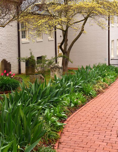 Brick Flatwork Repair in Camarillo